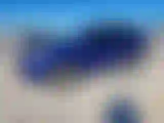 Vehicle Image- 2013 Ford Escape