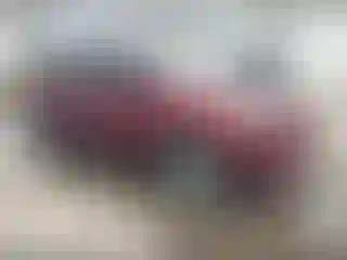 Vehicle Image- 2013 Ford Escape