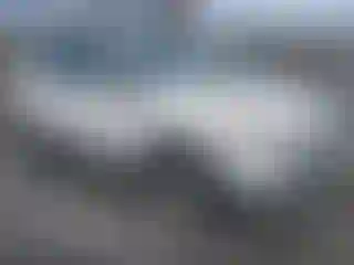 Vehicle Image- 2013 Ford Escape
