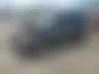 Vehicle Image- 2013 Ford Escape