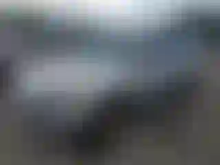 Vehicle Image- 2013 Ford Escape