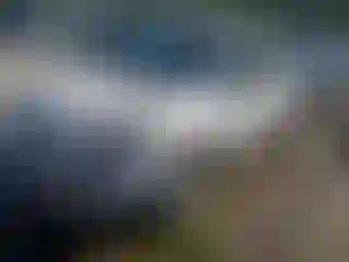 Vehicle Image- 2015 Ford Escape