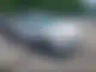 Vehicle Image- 2016 Ford Escape