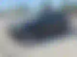 Vehicle Image- 2017 Ford Escape