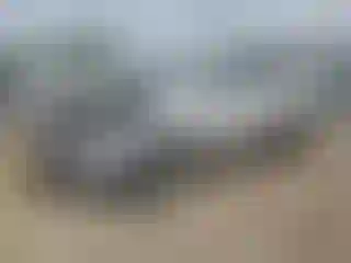 Vehicle Image- 2014 Ford Escape