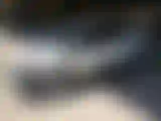 Vehicle Image- 2016 Ford Escape