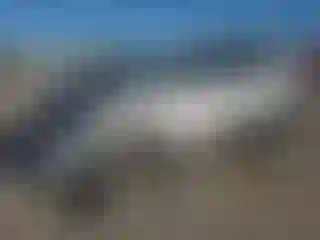 Vehicle Image- 2019 Ford Escape