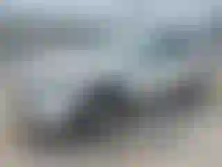 Vehicle Image- 2020 Ford Escape