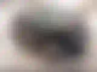Vehicle Image- 2020 Ford Escape