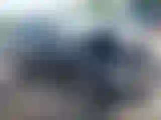 Vehicle Image- 2022 Ford Escape