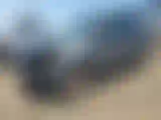 Vehicle Image- 2014 Ford Escape