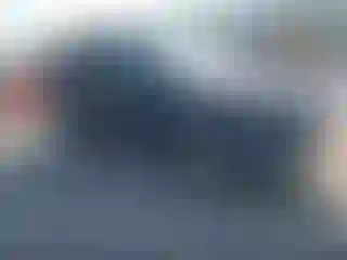 Vehicle Image- 2014 Ford Escape