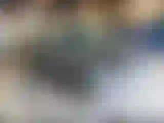 Vehicle Image- 2016 Ford Escape