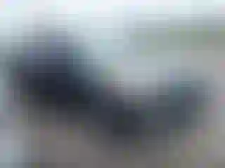 Vehicle Image- 2016 Ford Escape