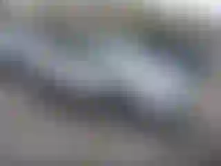 Vehicle Image- 2018 Ford Escape