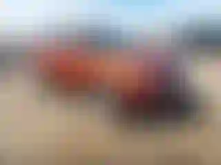 Vehicle Image- 2019 Ford Escape
