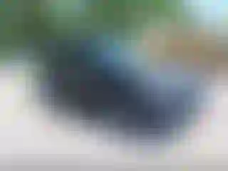 Vehicle Image- 2020 Ford Escape