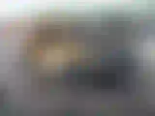 Vehicle Image- 2020 Ford Escape