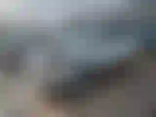 Vehicle Image- 2016 Ford Escape