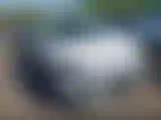 Vehicle Image- 2014 Ford Escape