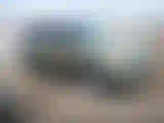 Vehicle Image- 2014 Ford Escape