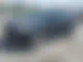 Vehicle Image- 2014 Ford Escape