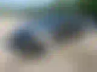 Vehicle Image- 2015 Ford Escape