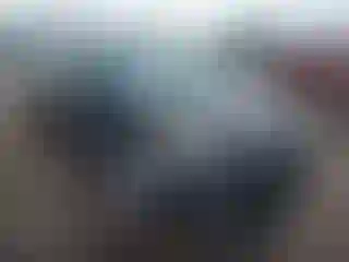 Vehicle Image- 2015 Ford Escape