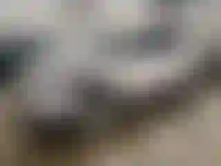 Vehicle Image- 2019 Ford Escape