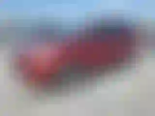 Vehicle Image- 2013 Ford Escape