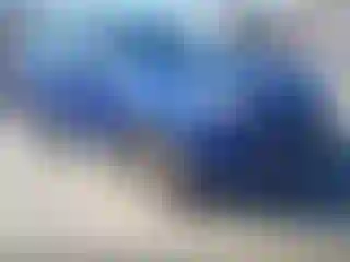 Vehicle Image- 2013 Ford Escape