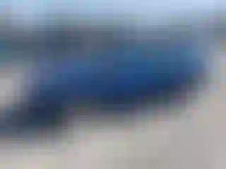 Vehicle Image- 2017 Ford Escape