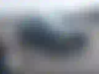 Vehicle Image- 2016 Ford Escape