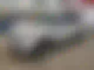 Vehicle Image- 2016 Ford Escape