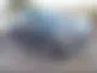 Vehicle Image- 2020 Ford Escape