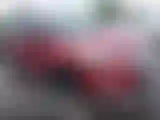 Vehicle Image- 2018 Ford Escape