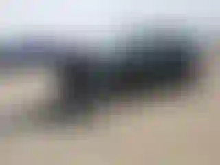 Vehicle Image- 2016 Ford Escape
