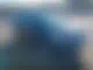 Vehicle Image- 2017 Ford Escape