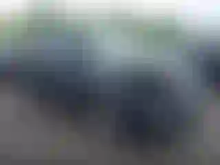 Vehicle Image- 2017 Ford Escape