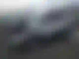 Vehicle Image- 2019 Ford Escape