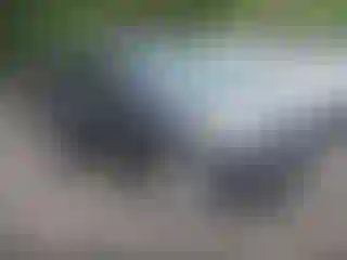 Vehicle Image- 2013 Ford Escape
