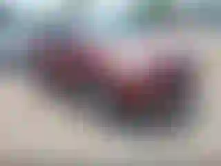 Vehicle Image- 2014 Ford Escape