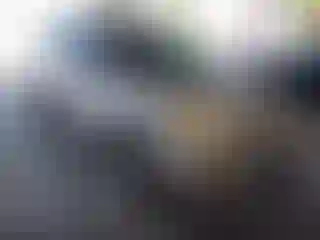 Vehicle Image- 2014 Ford Escape
