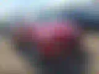 Vehicle Image- 2013 Ford Escape
