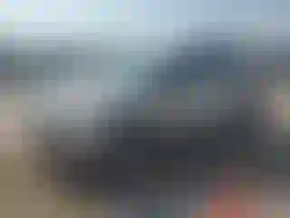 Vehicle Image- 2014 Ford Escape