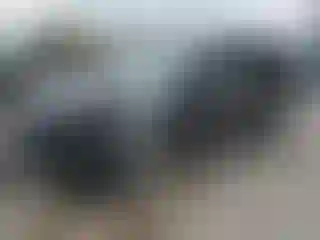 Vehicle Image- 2016 Ford Escape