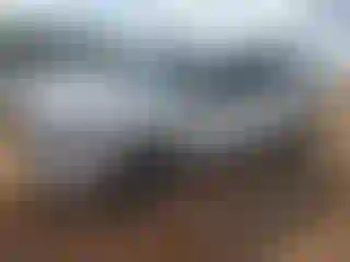 Vehicle Image- 2023 Ford Escape