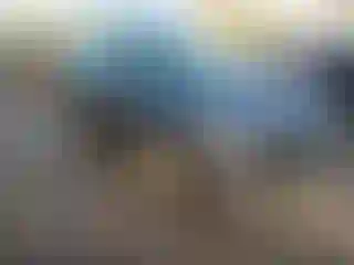 Vehicle Image- 2024 Ford Escape