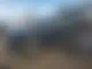 Vehicle Image- 2024 Ford Escape