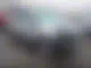 Vehicle Image- 2017 Ford Escape